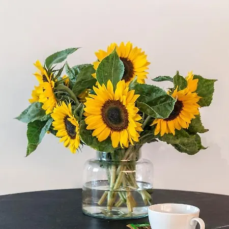 شقة Shortstaypoland Solidarnosci *