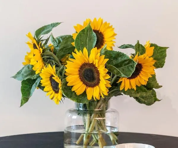 Apartment Shortstaypoland Solidarnosci *